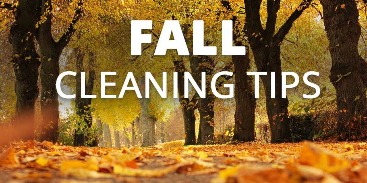 Fall Cleaning Tips for Savannah Homes